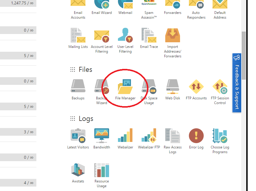 Go into cPanel